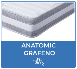 Anatomic grafeno