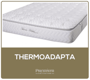 Thermoadapta