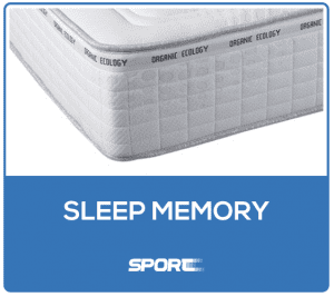 Sleep memory
