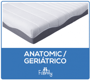 Anatomic geriátrico