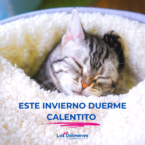 Sábanas, colchas y nórdicos invierno